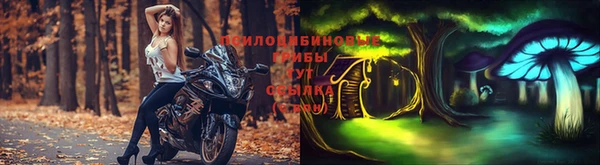 прущая мука Абаза