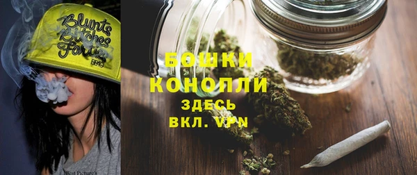 шишки Армянск